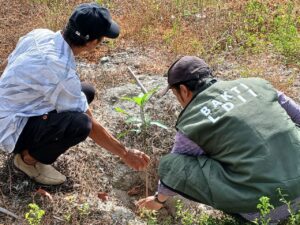 LDII Sigi Bagikan Bibit Mangga untuk Masyarakat Tinggede Selatan, Wujud Peduli Lingkungan dan Ekonomi