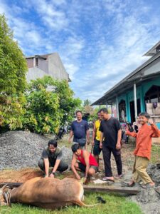 Jumlah Hewan Kurban LDII Bengkulu Naik 15 Persen, Hasil Tabungan Warga Selama Setahun